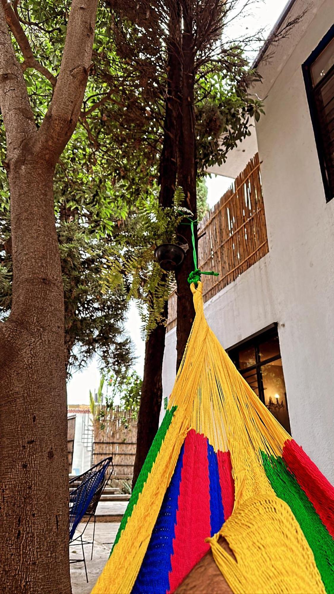 Xitla Hostel Oaxaca 외부 사진